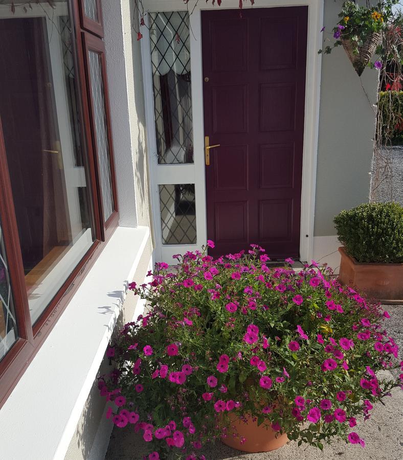 Ely House B&B Shannonbridge Exterior photo